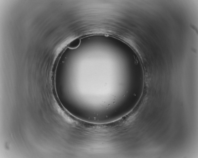 X0000099400995200805151701