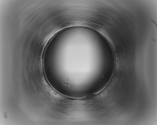 X0000099400996200805151701