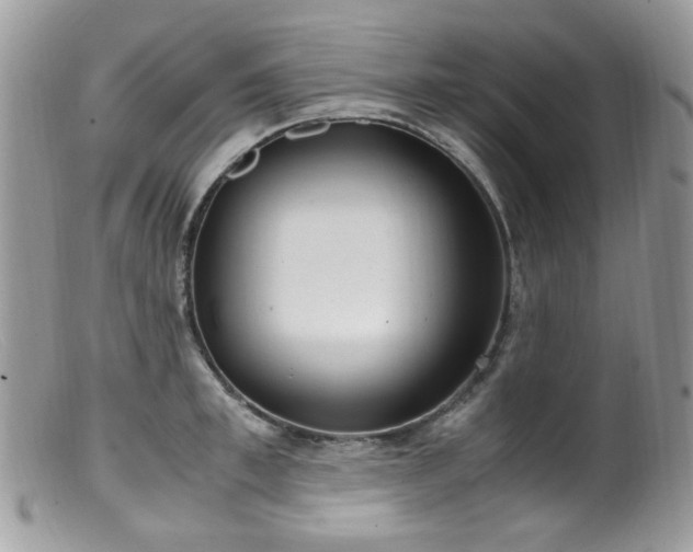 X0000099400997200805151701