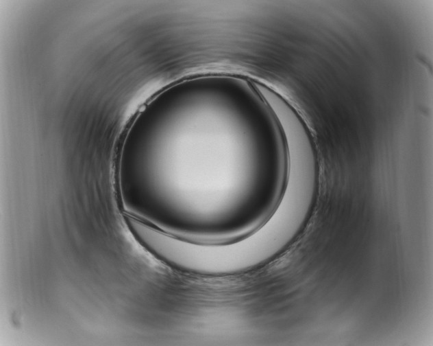 X0000099400998200805151701