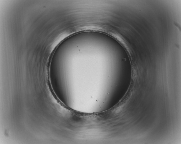 X0000099400999200805151701