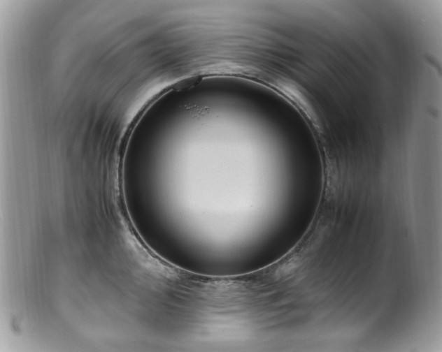 X0000099401000200805151701