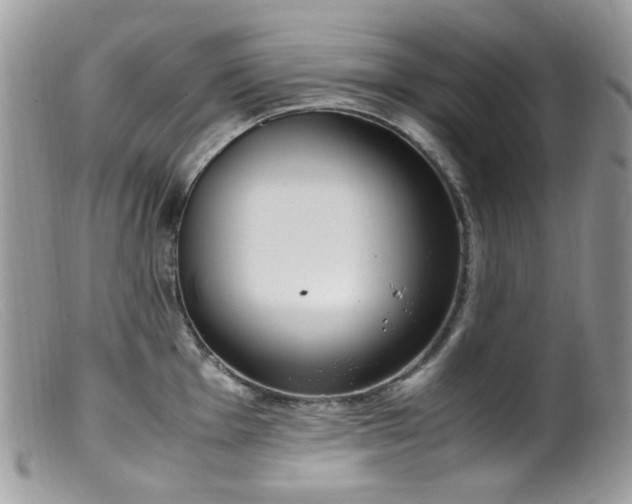 X0000099401001200805151701