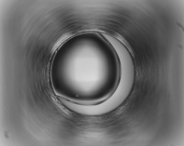 X0000099401002200805151701