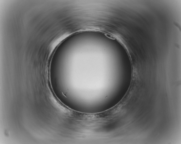 X0000099401003200805151701