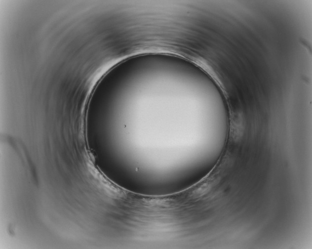 X0000099401004200805151701