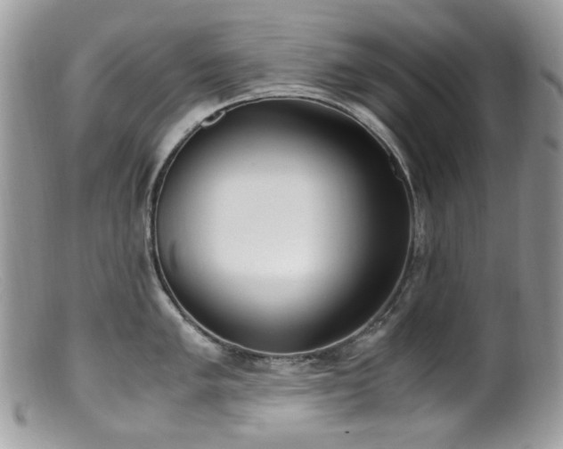 X0000099401005200805151701