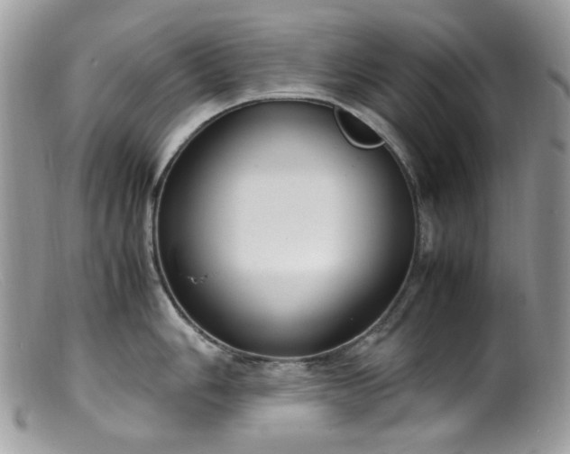 X0000099401006200805151701