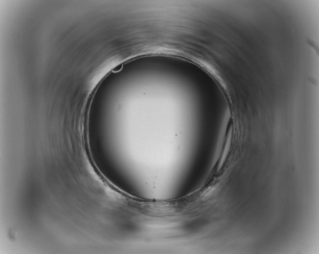 X0000099401007200805151701