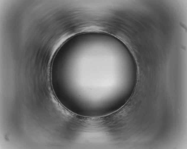 X0000099401008200805151701