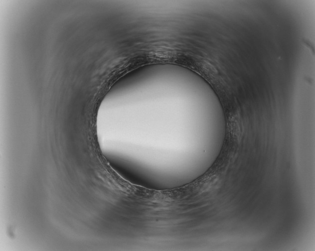 X0000099401009200805151700