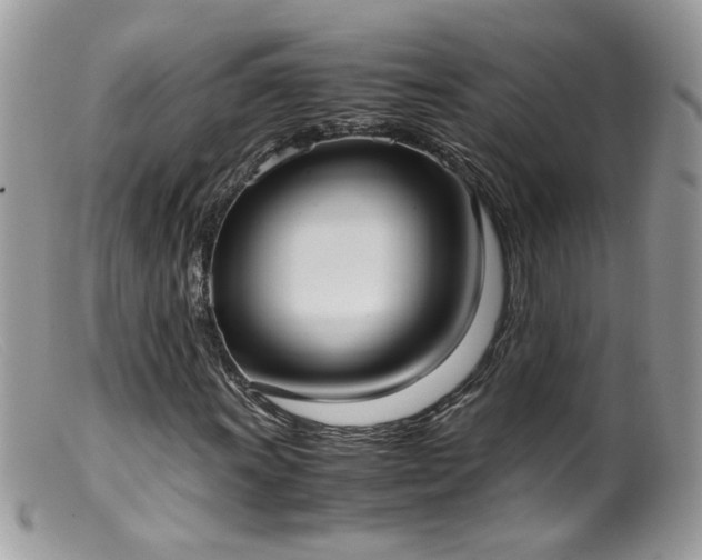 X0000099401011200805151700