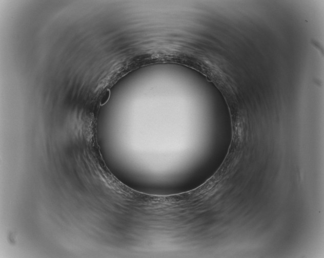 X0000099401012200805151700