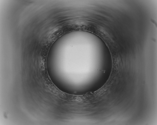 X0000099401013200805151700