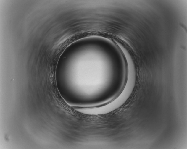 X0000099401015200805151700