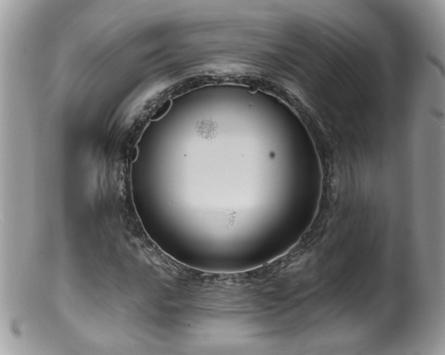 X0000099401016200805151700