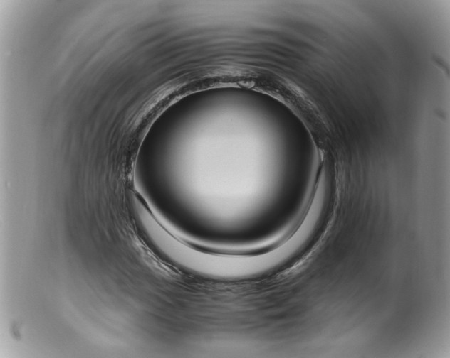 X0000099401017200805151700