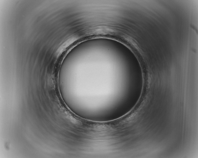 X0000099401018200805151700