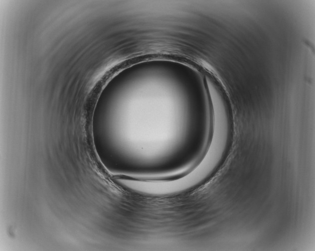 X0000099401019200805151700