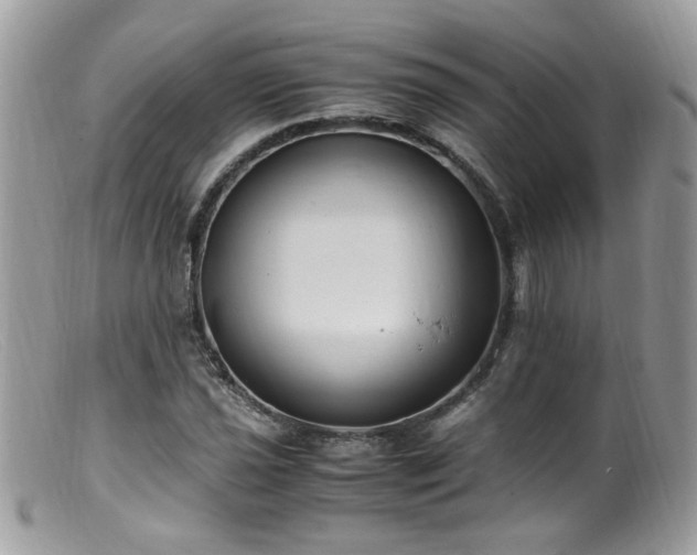 X0000099401021200805151700