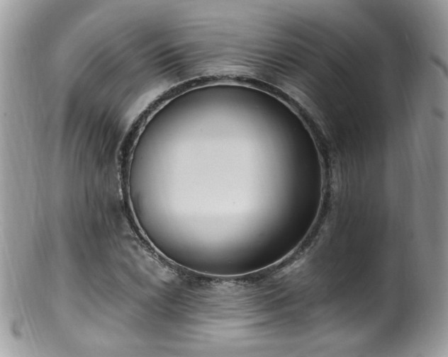 X0000099401022200805151700