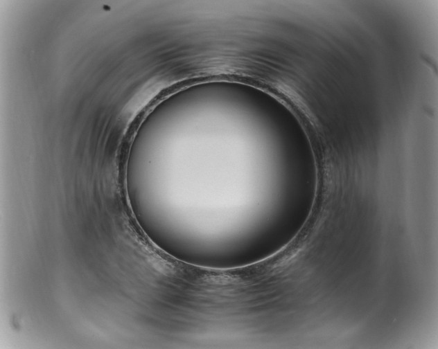 X0000099401023200805151700