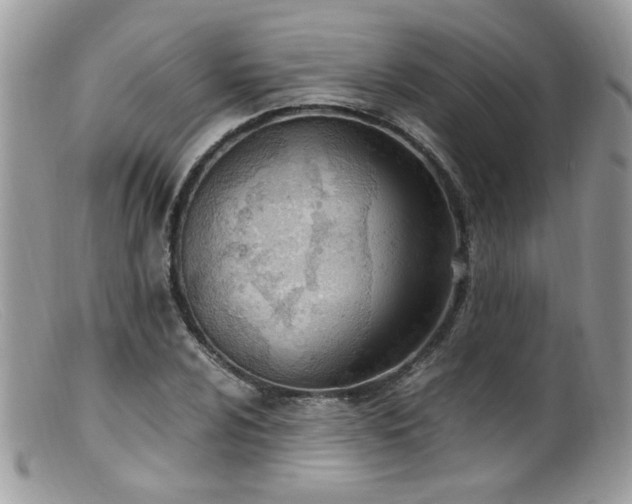 X0000099401024200805151700