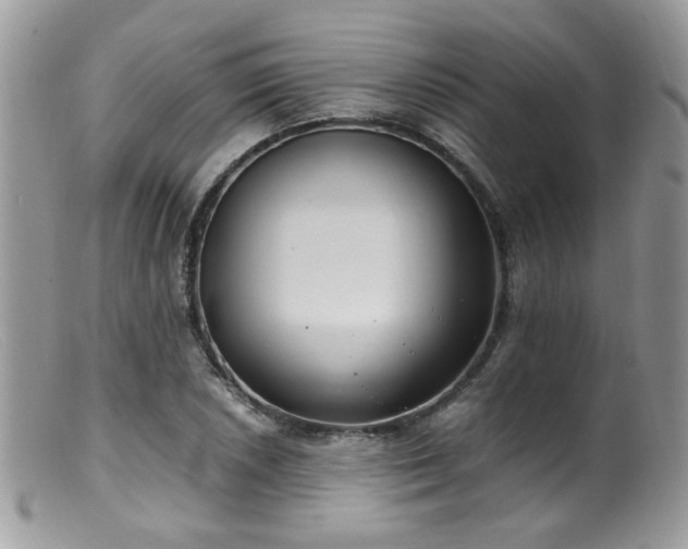 X0000099401026200805151700