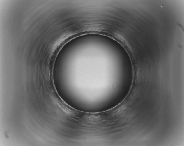 X0000099401027200805151701