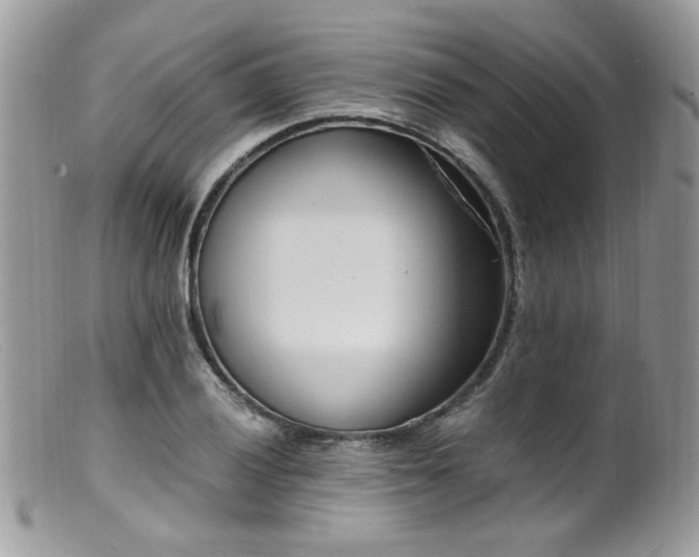 X0000099401028200805151701