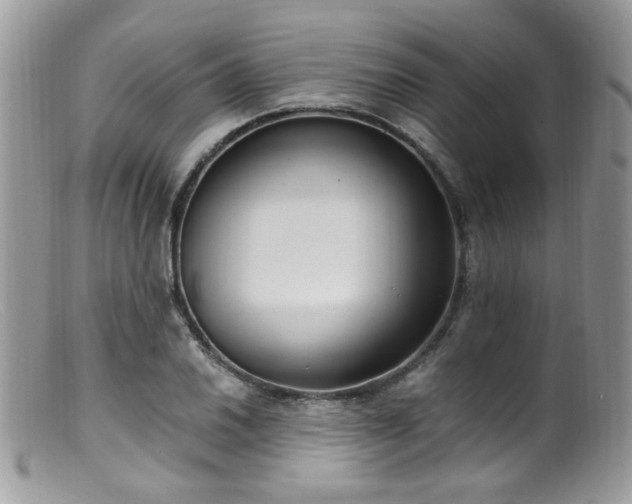 X0000099401030200805151701