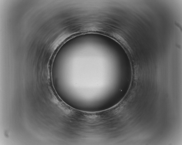 X0000099401031200805151701