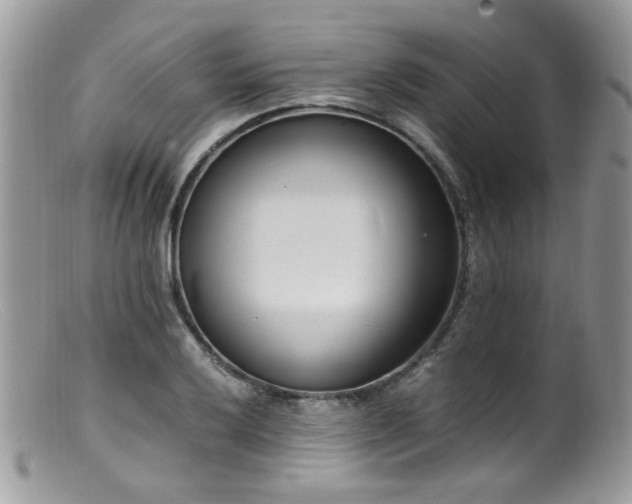 X0000099401032200805151701