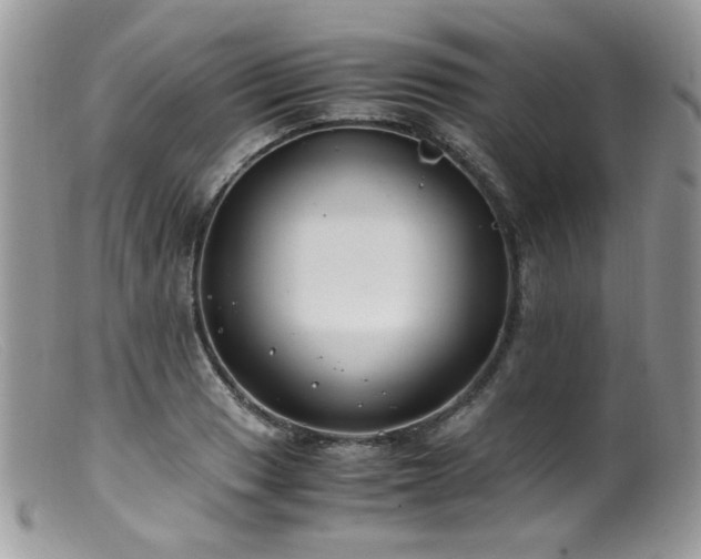 X0000099401033200805151701