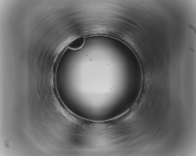 X0000099401034200805151701