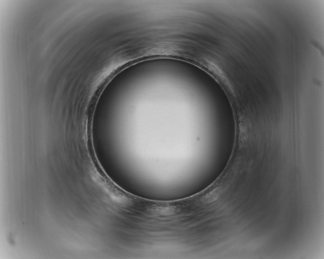 X0000099401035200805151701