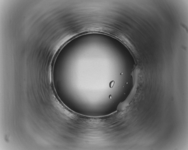 X0000099401036200805151701