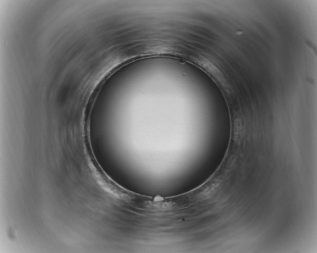 X0000099401039200805151701