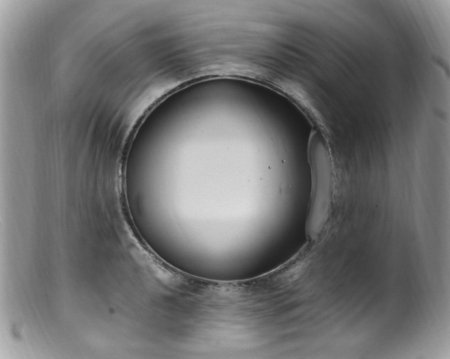 X0000099401040200805151701