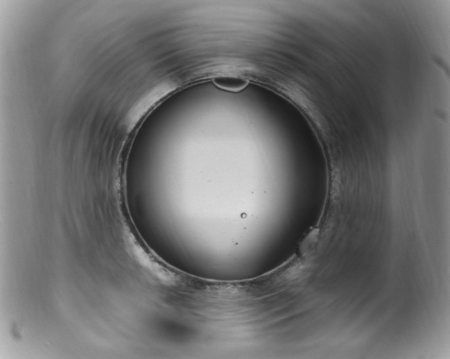 X0000099401042200805151701