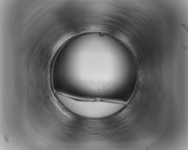 X0000099401043200805151701