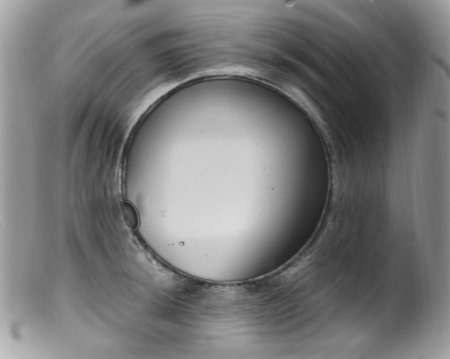 X0000099401044200805151701