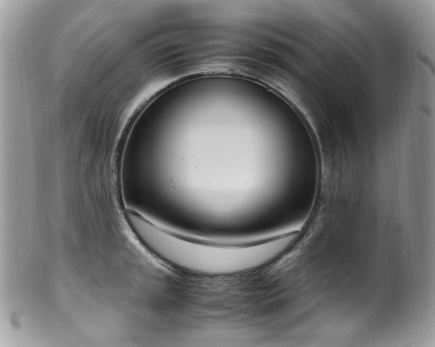 X0000099401045200805151701