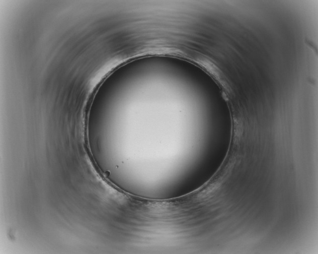 X0000099401046200805151701