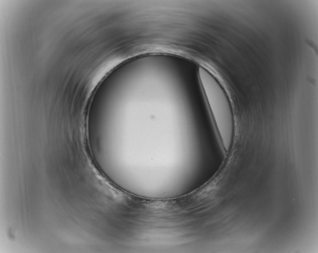 X0000099401048200805151701