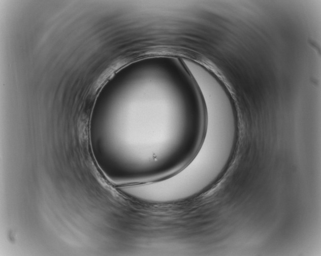 X0000099401049200805151701