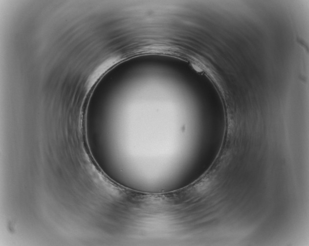 X0000099401050200805151701