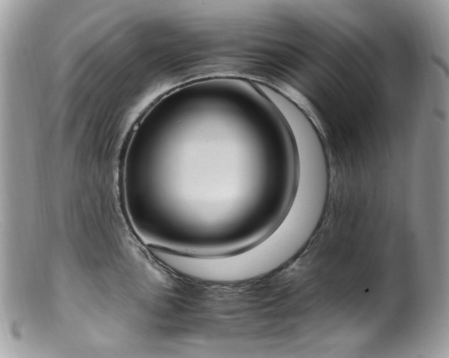 X0000099401051200805151701