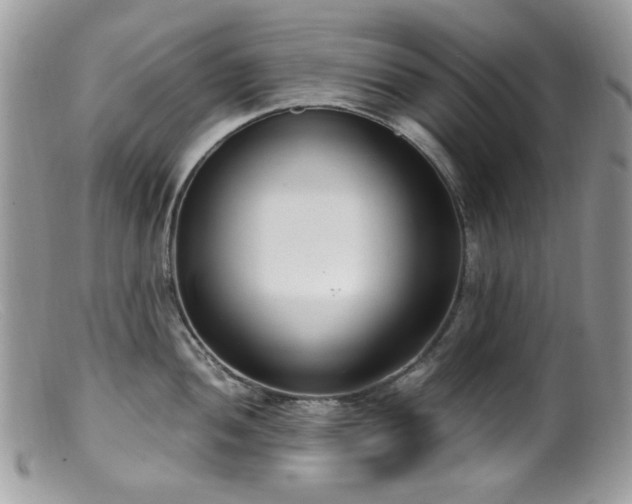 X0000099401052200805151701