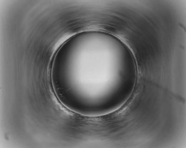 X0000099401053200805151701